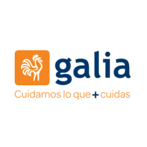 Minimalist MR Typographic Logo (300 x 300 px)